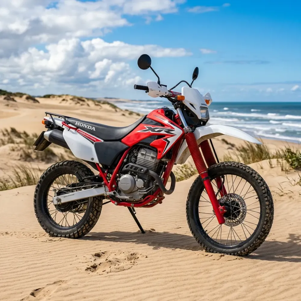 Kawasaki Versys-X 300 0km — foto 5 de 8
